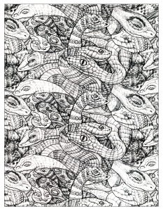 無料でダウンロードできるシンプルな動物のぬりえイラスト