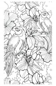 ダウンロード用の鳥のぬりえイラスト