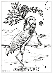 印刷して塗れる鳥のぬりえイラスト