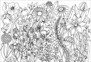 印刷用の花と植物のぬりえイラスト