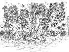 花と植物の子ども向けぬりえイラスト