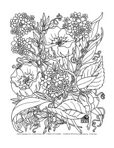 子ども向け花と植物のぬりえイラスト