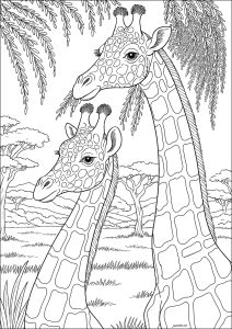 印刷して塗れるシンプルなキリンのぬりえイラスト
