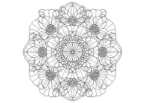 調和のとれた花のシンフォニー