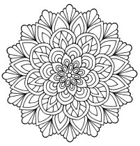 曼荼羅の花と葉