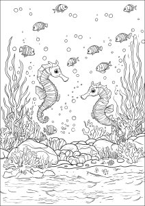海の深み：タツノオトシゴ、魚、藻