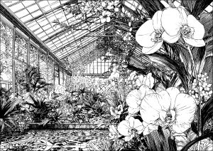 素晴らしい庭園 50526