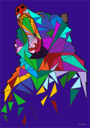 Creation by Julia