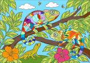 Creation by Anonymous from A Curious Encounter in the Tropics