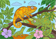Creation by Anonymous from A Curious Encounter in the Tropics