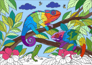 Creation by Anonymous from A Curious Encounter in the Tropics