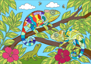 Creation by Anonymous from A Curious Encounter in the Tropics