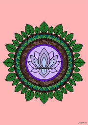 Creation by Julia