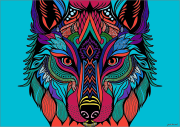 Creation by Julia