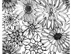 Printable coloring pages : Plant